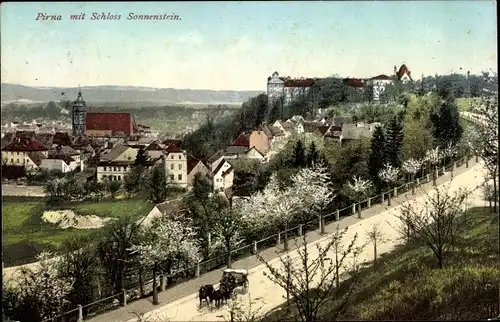 Ak Pirna an der Elbe, Panorama mit Schloss Sonnenstein, Kutsche, Kirchturm