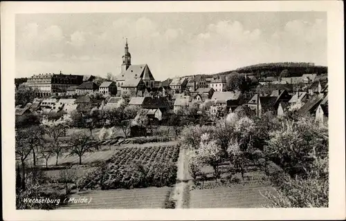 Ak Wechselburg in Sachsen, Panorama, Kirche