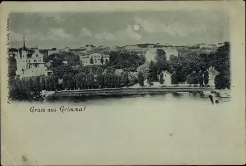 Mondschein Ak Grimma in Sachsen, Teilansicht