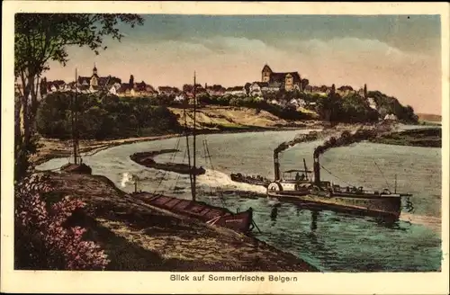 Ak Belgern in Sachsen, Panorama, Dampfer