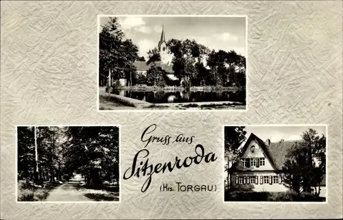 Ak Sitzenroda Schildau in Sachsen, Waldweg, Kirche