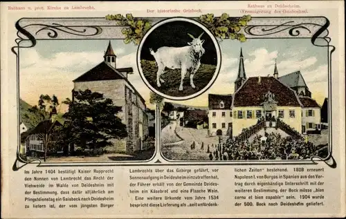 Ak Deidesheim in der Pfalz, der historische Geisbock, Geschichte, Rathaus, Prot. Kirche