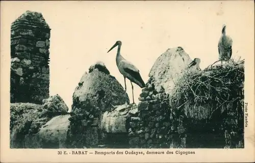 Ak Rabat Marokko, Remparts des Oudayas, demeure des Cigognes