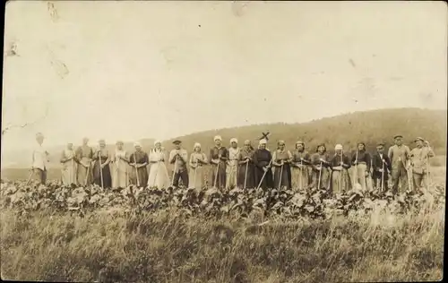 Foto Ak Bauerrn auf dem Feld, Gruppenaufnahme