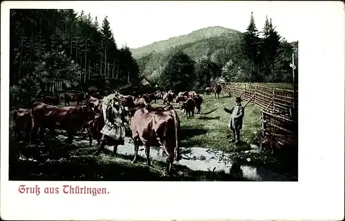 Ak Gruß aus Thüringen, Rinderherde, Landschaft