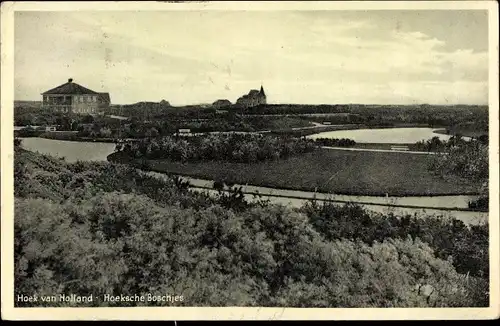 Ak Hoek van Holland Rotterdam Südholland Niederlande, Hoeksche Boschjes