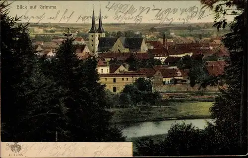 Ak Grimma in Sachsen, Blick auf die Stadt und Kirche