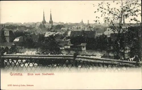 Ak Grimma in Sachsen, Blick vom Stadtwald, Kirchtürme