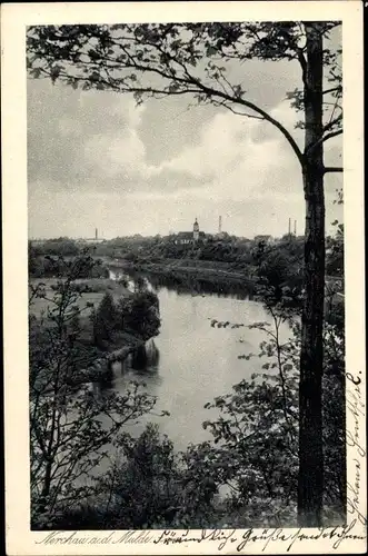 Ak Nerchau Grimma in Sachsen, Muldenpartie, Panorama