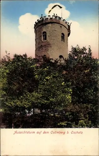 Ak Collmberg Collm Wermsdorf Sachsen, Aussichtsturm