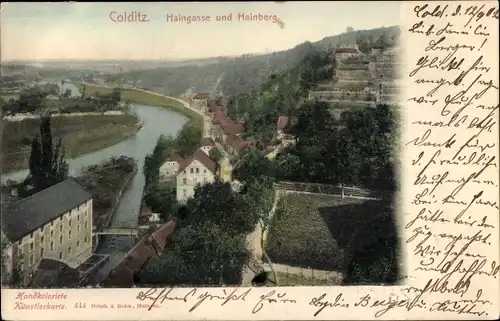 Ak Colditz in Sachsen, Haingasse und Hainberg