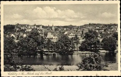 Ak Colditz in Sachsen, Blick auf die Stadt, Schloss