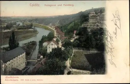 Ak Colditz in Sachsen, Haingasse und Hainberg