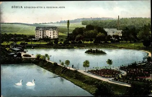 Ak Döbeln, Bürgergarten und Rosenanlagen, Schwäne