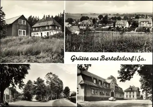 Ak Berthelsdorf Liebstadt im Erzgebirge, Panorama
