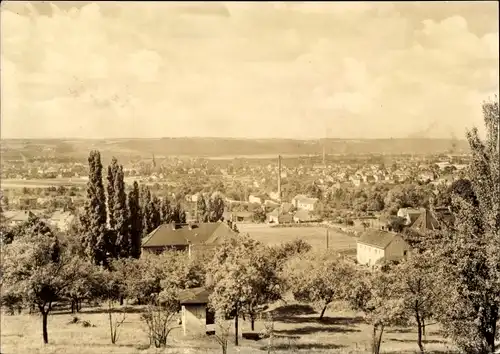 Ak Coswig in Sachsen, Panorama