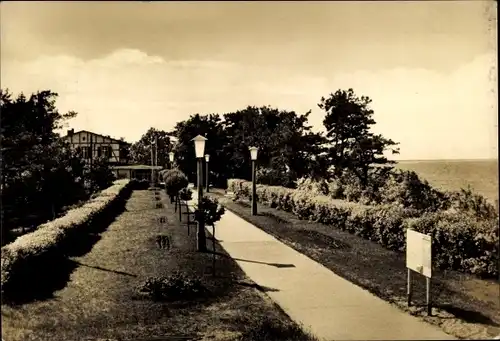 Ak Ostseebad Zempin auf Usedom, Promenade, Fachwerkhaus