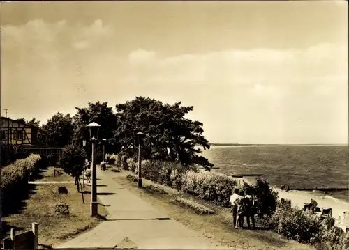 Ak Ostseebad Zempin auf Usedom, Strandpromenade auf dem Hochufer