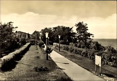 Ak Ostseebad Zempin auf Usedom, Promenade