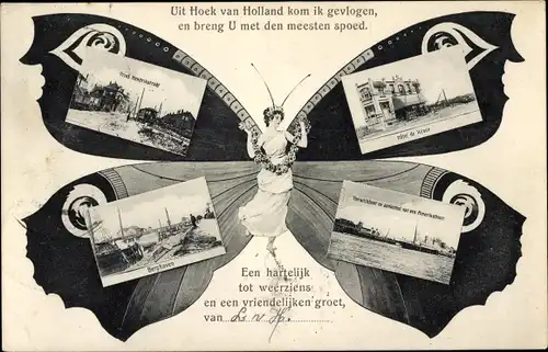 Schmetterling Ak Hoek van Holland Rotterdam Südholland Niederlande, Hotel, Haven