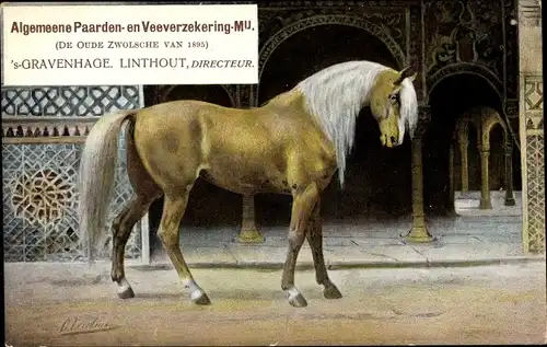 Ak 's Gravenhage Den Haag Südholland, Algemeene Paarden en Veeverzekering Mij., Reklame
