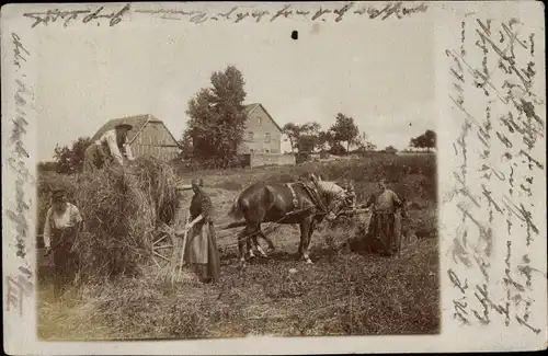 Foto Ak Landwirtschaft, Bauern bei der Arbeit, Fuhrwerk mit Heu, Pferd