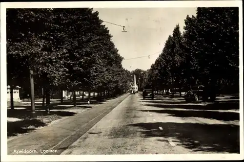 Ak Apeldoorn Gelderland, Loolaan