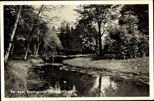 Ak Ter Apel Groningen, Boschgezicht (Groote Vijver)