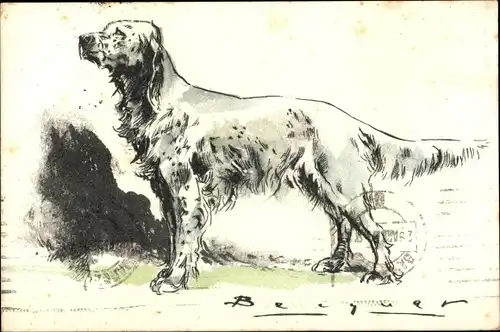 Künstler Ak Hund-Portrait, Tier-Portrait, Weißer Hund