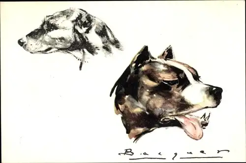 Künstler Ak Hund-Portrait, Tier-Portrait, Bulldogge