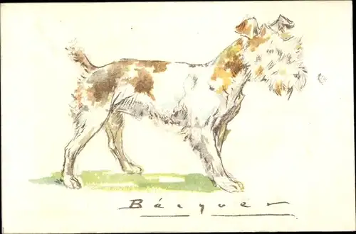 Künstler Ak Hund-Portrait, Tier-Portrait, Terrier