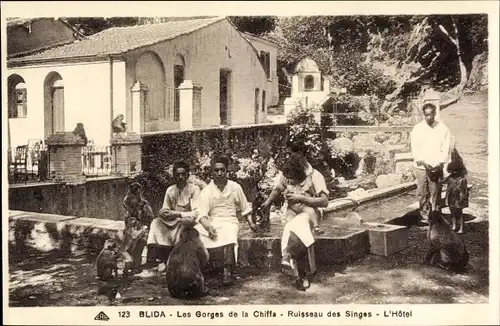 Ak Blida Algerien, A l'Hotel du Ruisseau des Singes