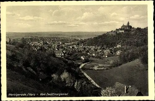 Ak Wernigerode am Harz, Panorama, vom Zwölfmorgental gesehen