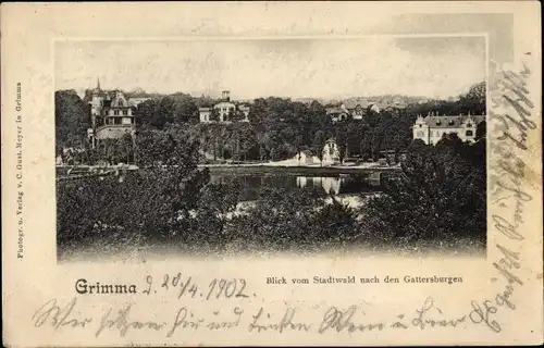 Ak Grimma in Sachsen, Blick vom Stadtwald nach den Gattersburgen