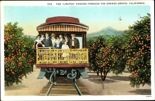 Ak The Limited passing through the Orange Groves, California, Bahn, Zug