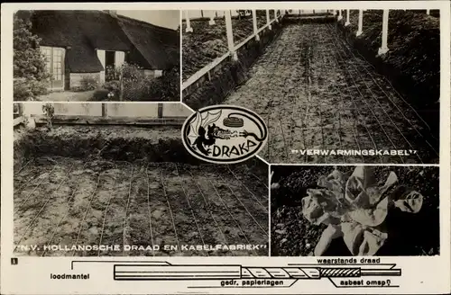 Ak Amsterdam Nordholland, NV Hollandsche Draad en Kabelfabriek, DRAKA, Reklame