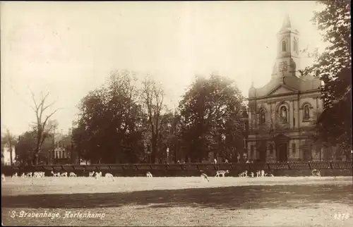 Ak 's Gravenhage Den Haag Südholland, Hertenkamp