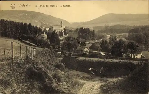 Ak Vielsalm Wallonien Luxemburg, Vue prise du Thier de la Justice