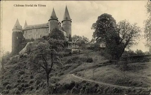 Ak Houyet Wallonien Namur, Château de Vèves