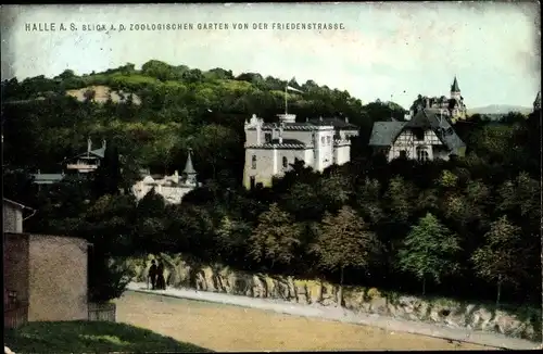 Ak Halle an der Saale, Zoologischer Garten von der Friedenstraße gesehen