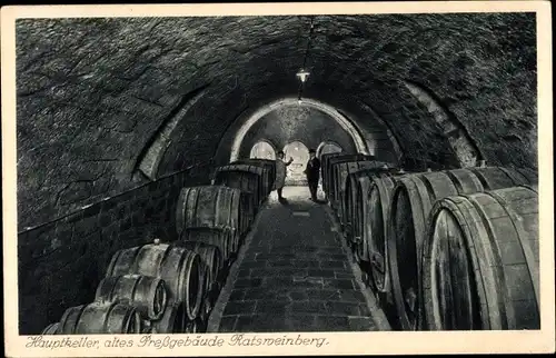 Ak Meißen an der Elbe, Weingut, Hauptkeller, altes Pressgebäude Ratsweinberg