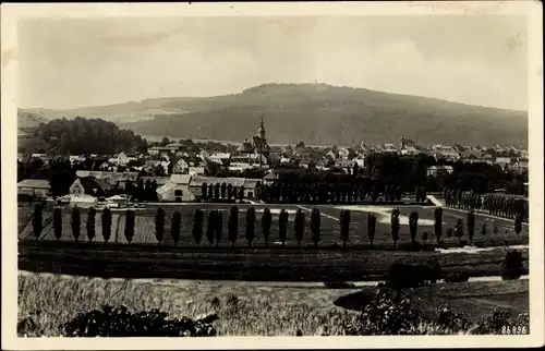 Ak Rochlitz an der Mulde, Gesamtansicht mit Rochlitzer Berg, Kirche