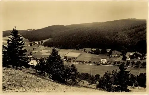 Foto Ak Holzhau Rechenberg Bienenmühle Erzgebirge, Panorama