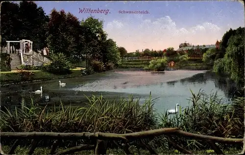 Ak Lutherstadt Wittenberg, Schwanenteich