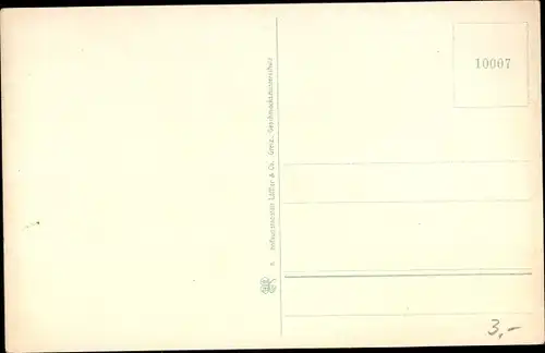 Ak Zwickau in Sachsen, Panorama