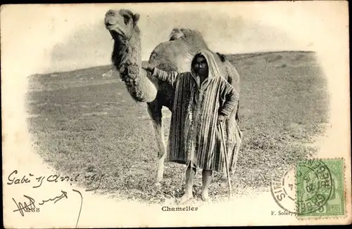 Ak Afrika, Maghreb, Chamelier