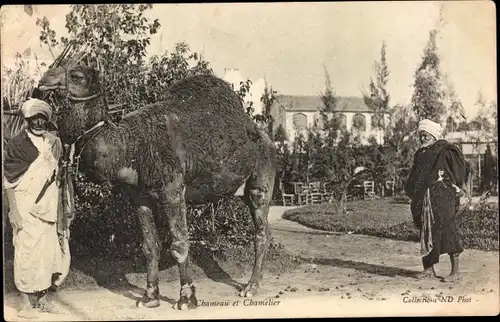 Ak Chameau et Chamelier