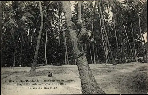Ak Pondichery Ponducherry Indien, Hindou de la Tribu des Souraires