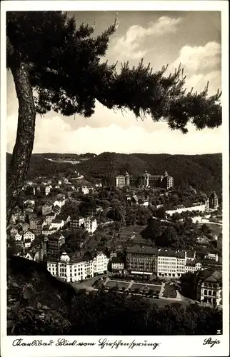 Ak Karlsbad Tschechien, Blick auf den Ort mit Umgebung