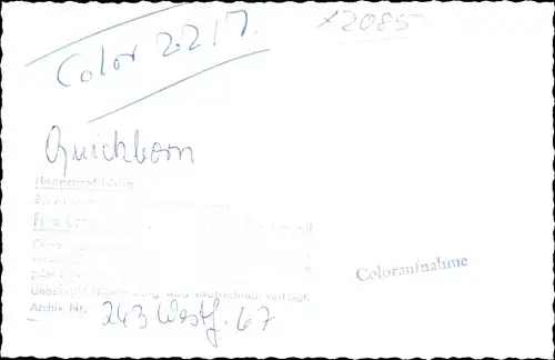 Foto Quickborn in Holstein, Straßenpartie mit Geschäften